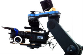 Grips